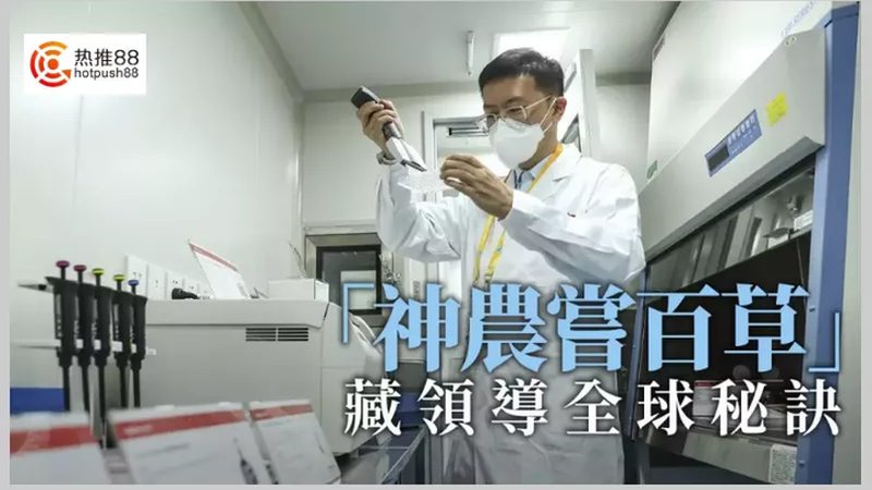 CDMO项目合作：揭秘其优势与潜在风险