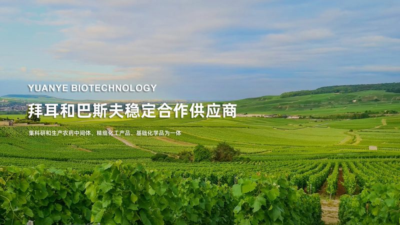 生物医药外包工艺流程，如何选择优质合作伙伴？**