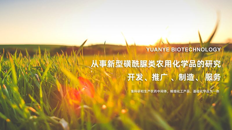 上海离心管和试管：采购背后的科学考量**