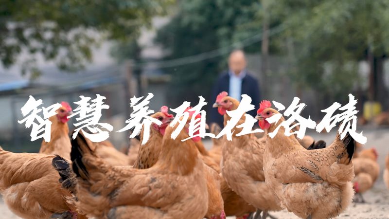 CDMO项目合作怎么找