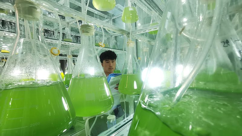 基因检测机构遍地开花，真正靠谱的怎么认